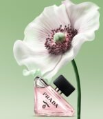 Prada Paradoxe 50ml - Image 2
